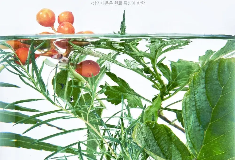 [이선빈Pick] 메디온 락토리메디 여성청결티슈 6g * 15개입 상세페이지 31